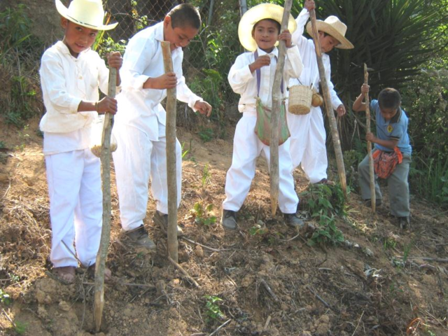 Programa de estudio de saberes comunitarios